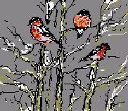 20060425203829-pajaros-color.jpg