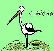 20060615194124-ciguena.jpg