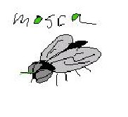 20060713201039-mosca.jpg