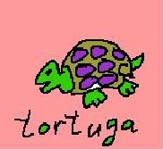 20061024101331-tortuga.jpg