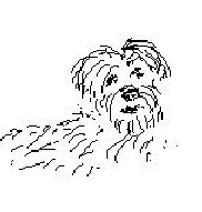 20061116171942-gaspar.jpg