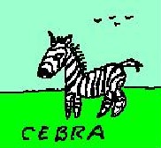 20070109123338-cebra.jpg